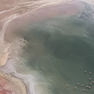 Ngorongoro krāteris no putna lidojuma Ngorongoro krāteris no putna lidojuma