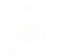 Altezza Travel Tripadvisor vērtējumā ierindots 1. vietā
