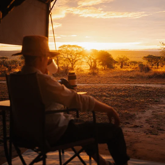 Saulriets safari nometnē Tanzānijā Saulriets safari nometnē Tanzānijā