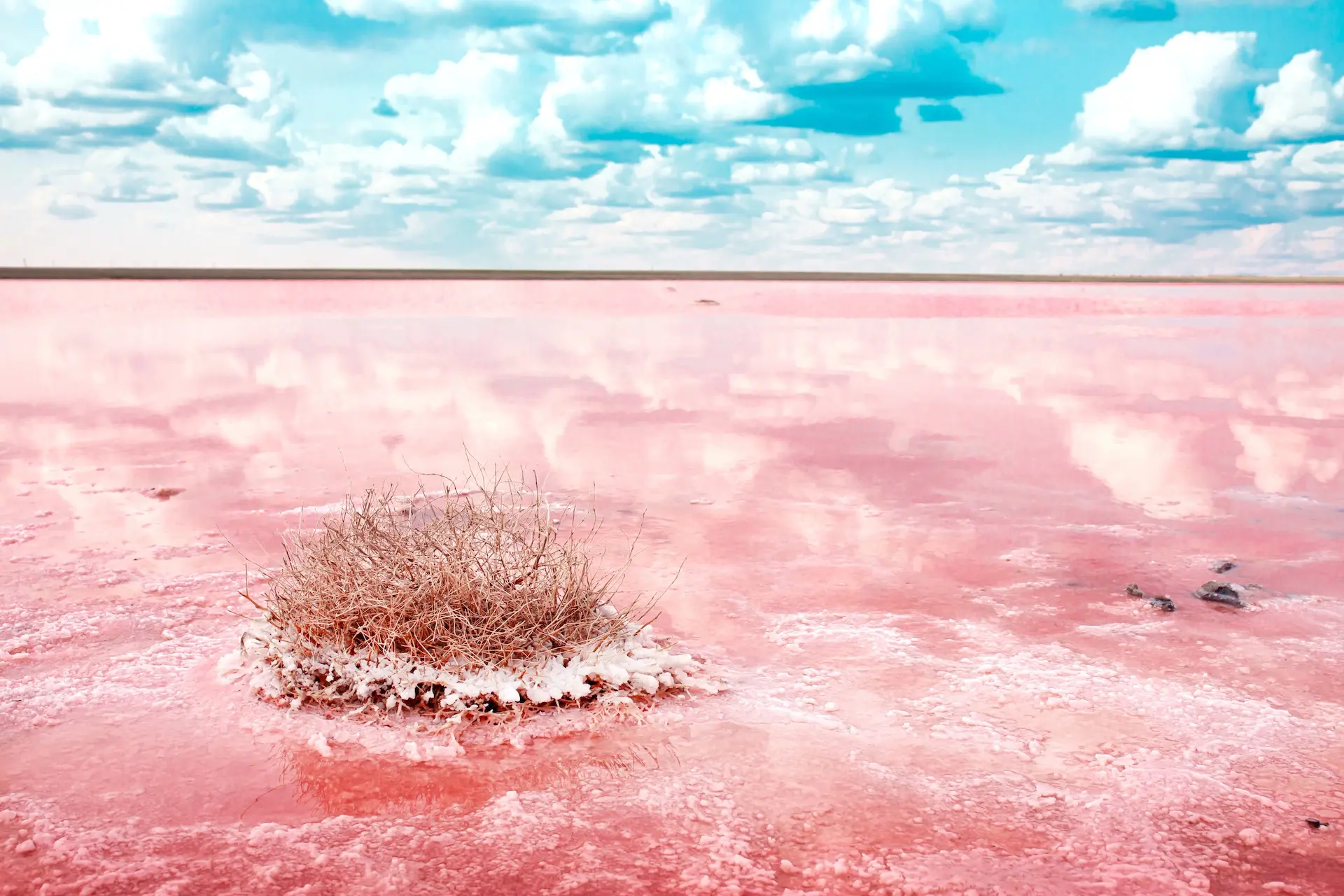 Sausajā sezonā ezers kļūst sarkans un pārklājas ar sāli. Foto: Vera Larina / Shutterstock