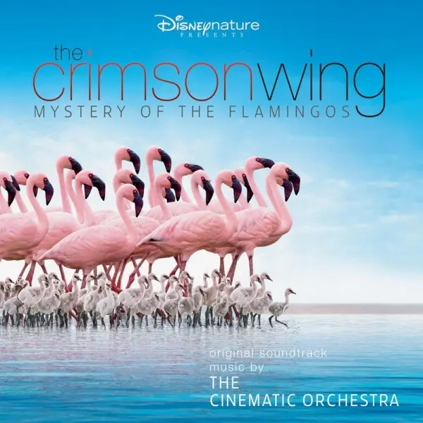Dokumentālās filmas „Sārtais spārns: flamingo noslēpums” (The Crimson Wing: Mystery of the Flamingos) vāks