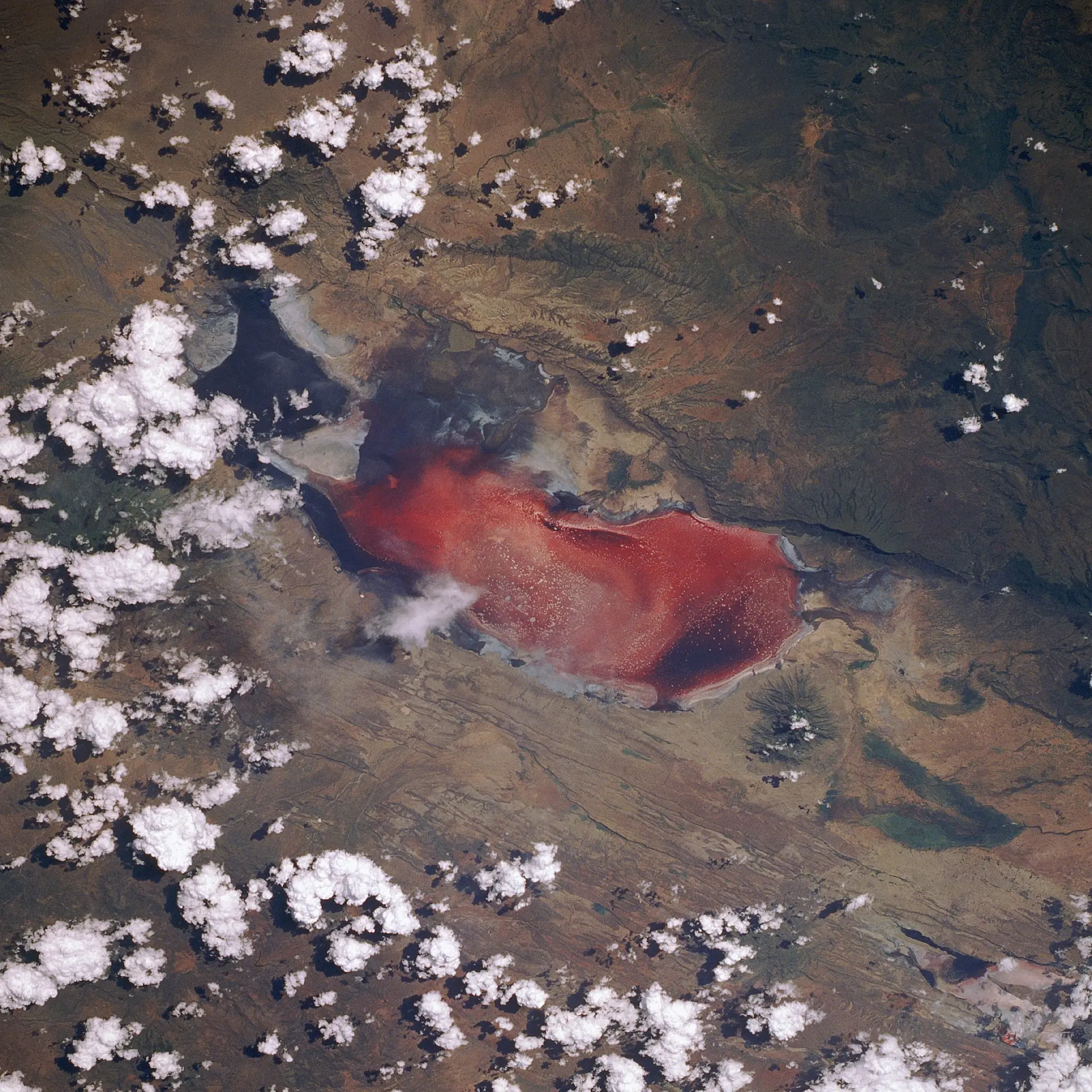 Natrona ezers, ko reizēm dēvē par „nāvējošo sarkano ezeru”, skatā no kosmosa kuģa Discovery misijas STS-29 laikā. Foto: NASA