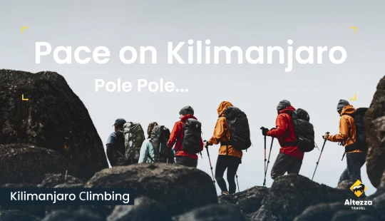 Kā atrast savu tempu Kilimandžāro | Altezza Travel