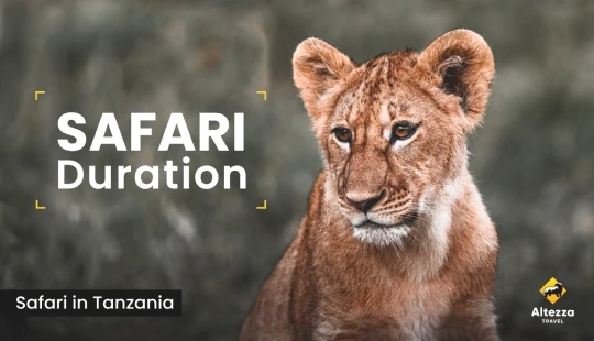 Safari plānošana: cik dienu nepieciešams?