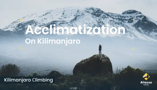 Aklimatizācija Kilimandžāro | Altezza Travel