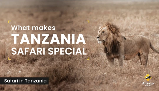 Ar ko īpašs ir safari Tanzānijā