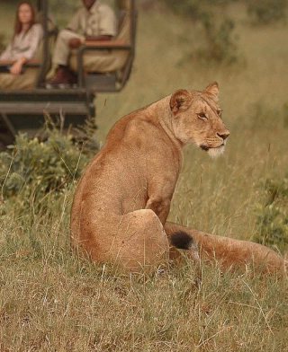 Serengeti nacionālais parks