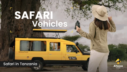 Ideāla safari transportlīdzekļa pamati